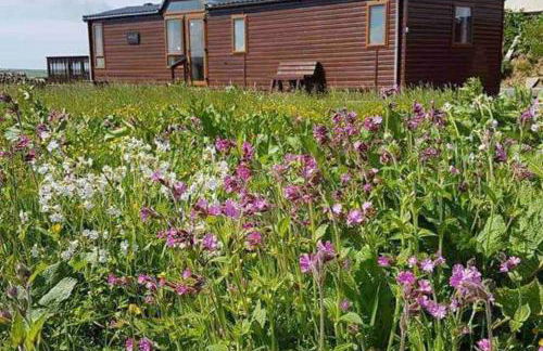 Rymmon Retreat - Photo 22