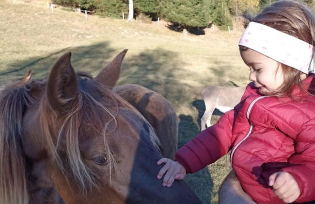 Rossweid hut With a Fantastic View - Foto 23