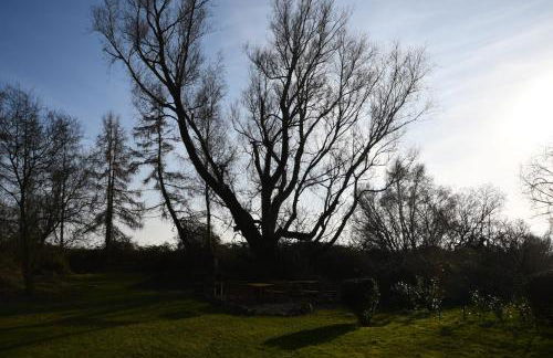 Ferienwohnung Boddenliebe - Foto 27