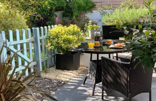 Oystercatcher, Pityme - Foto 12