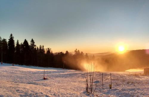 Apartements 270-275 Mitterdorf - Foto 12