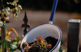 Casa Luana - Photo 50