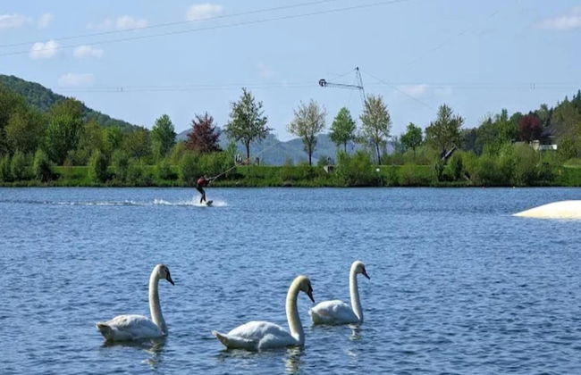 Ruhig Gelegenes Appartement in Niedersfeld - Foto 39