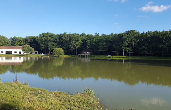Les chalets de la héronnière - Foto 21