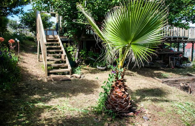 Casa Verde Pichilemu - Foto 1