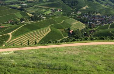 Klimatisierte Wohnung Schwarzwald Europapark Rust barrierefrei 110 qm - Foto 27