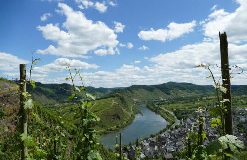 Ferienwohnung Haus am Calmont - Foto 28