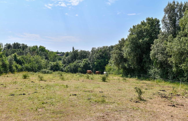 Gite in Holiday Park With Swimming Pool - Foto 40