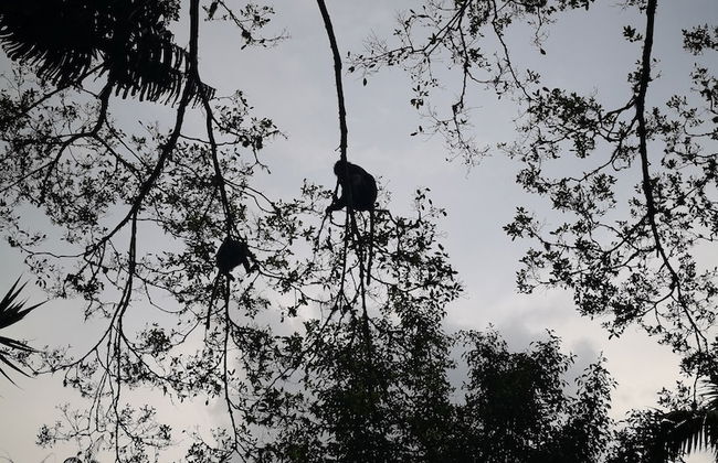 The Landmark Penthouse Luxury Condo by Casa Accommodation - Foto 47