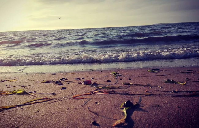 Renovated Cottage by Toftum - By Traum Ferienwohnungen - Photo 42