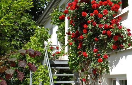 Ferienwohnung Dausacker - Foto 24