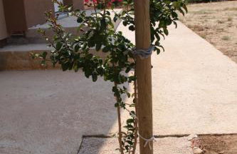 Apartment Pal - Foto 37