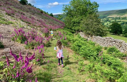 Black Mountains Stylish Hideaway, nr Crickhowell - Photo 24