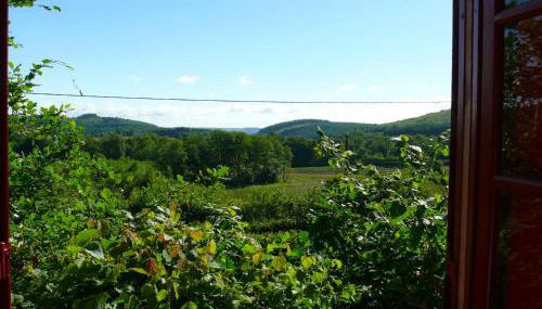 CHALET DES CHEVREUILS -les chalets de Montsermage - Foto 5, Garden