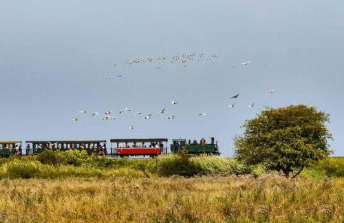 Gites La Baie des Remparts Meublé Les Avocettes - Foto 40