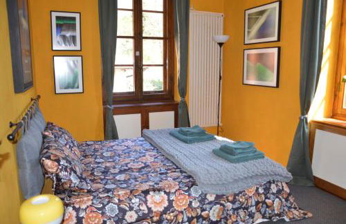 Villa Rollier, Arte e Meditazione - Foto 6