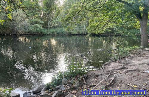 Attraktive 3 Zimmer Wohnung in Toplage,Nähe Messe - Foto 21