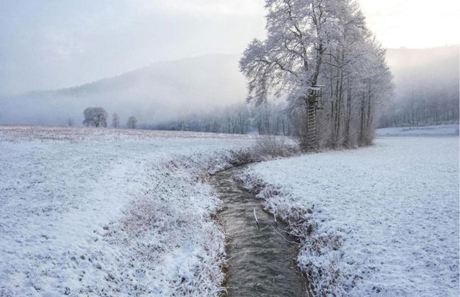 Wohnung in Densberg Nahe Kellerwald - Foto 35