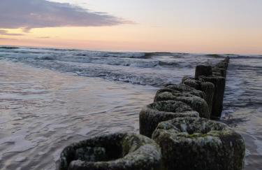 Słoneczna Sarbinówka - Foto 67