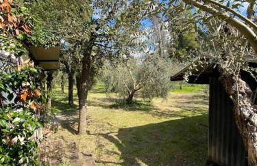 Country house in Maremma Villa Mafalda - Foto 13