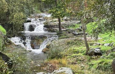 Alojamiento El Olvido en Piedralaves - Photo 16