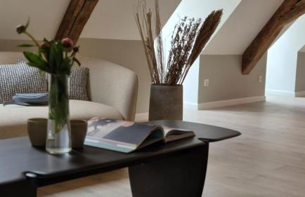 L'Arbre Voyageur - Suite de Luxe au cœur d'Autun - Foto 11