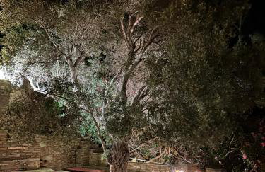 Andros Escape Condos - Foto 3