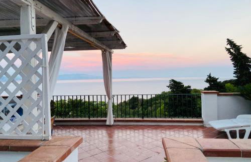 Pino Marino - Foto 33