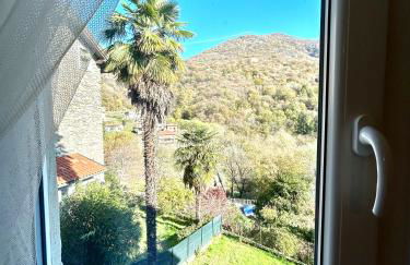 Il GLICINE - Foto 30