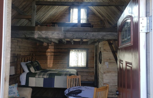 Avens Alaska - Foto 5