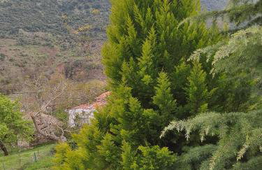 Kleitor Stone Villa-Peloponnese Getaway - Foto 67