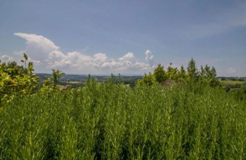 Sabina Essence Villa di charme - Foto 13