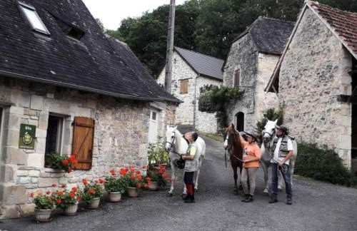 Gîte de France à Turenne 3 épis - Gîte de France 6 personnes MAE-9334 - Foto 20
