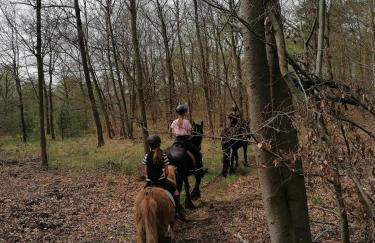 Weidmannsruh - große Ferienwohnung mit 3 Schlafzimmern - Foto 11