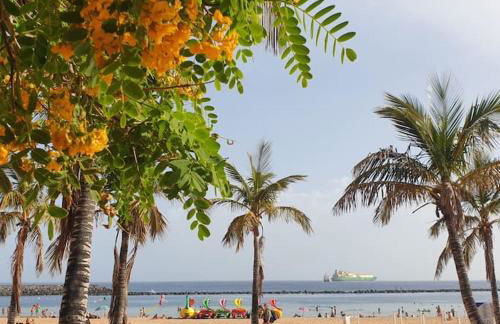 San Andres Beach View Apartment - Foto 16