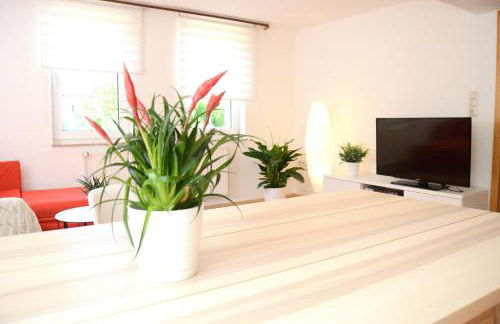 #Hoenepartment - TimeOut Waldhessen - bis zu 8 Pers. - Foto 1