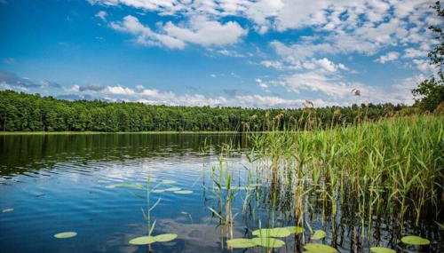 Scandinavian house overlooking the lake - Foto 5