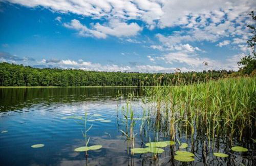 Scandinavian house overlooking the lake - Foto 5