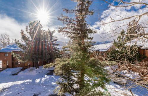 Snowflower 12 - Photo 9