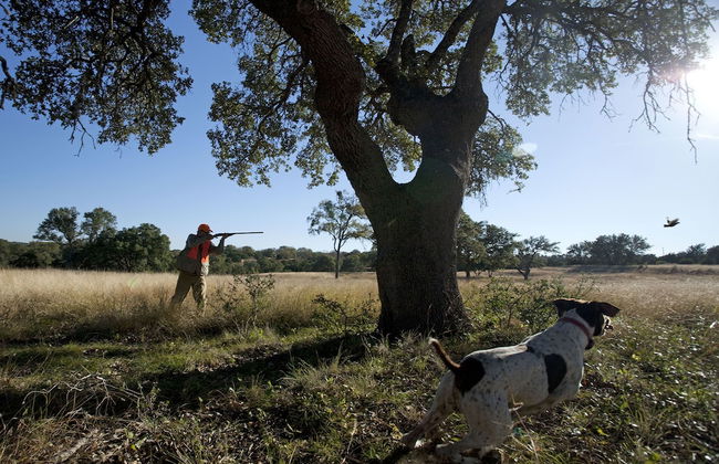 Joshua Creek Ranch - Photo 17