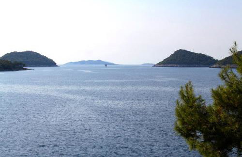 Apartments by the sea Ubli, Lastovo - 8354 - Foto 13