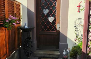 STUDIO ST GREGOIRE Au Pied des Vosges et Vignoble ! - Foto 15