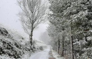 Ondarbaso Apartamentos Rurales III - Foto 29