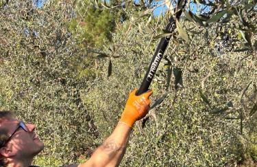 Historic Farmhouse Casa Del Chiodo - Foto 69