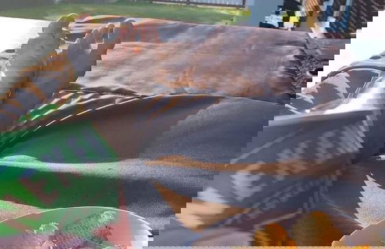 Ronneby Torneryd Retreat - Foto 45