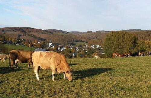 Ferientraum-am-Rothaarsteig - Foto 12