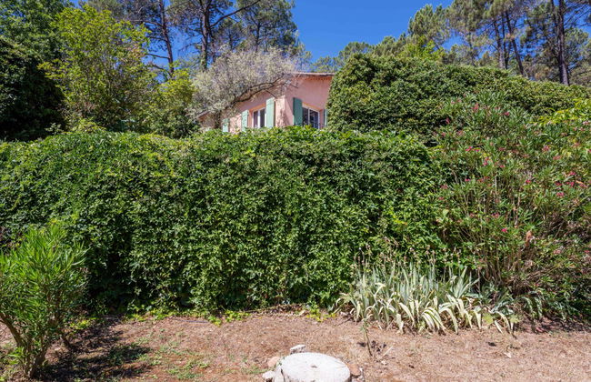 Les Ecureuils - Foto 32