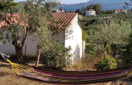 Blackmountain Sea Spot - Foto 28