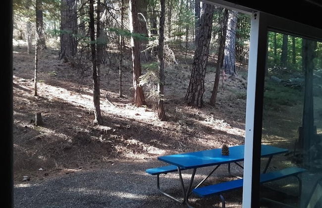 Winterfell - No Hidden Fee; Dog OK; King Bed - Photo 5