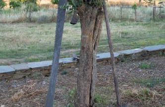 Herdade da Yucca - Retreat & Spa - Foto 77